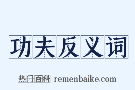 功夫反义词是什么意思的图片